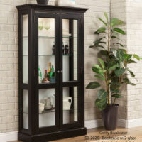 North American Curio 50-2020 Getty Bookcase